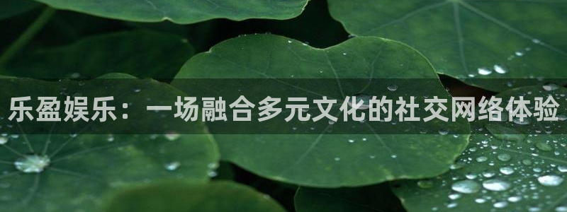 PG电子体育和杏耀是哪个公司的：乐盈娱乐：一场融合多元文化的社交网络体验