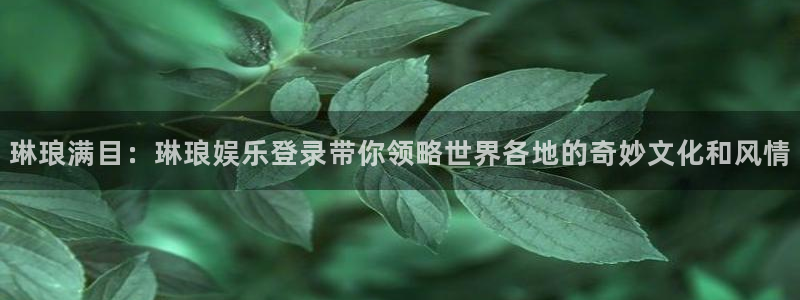 PG电子4平台注册：琳琅满目：琳琅娱乐登录带你领略世界各地的奇妙文化和风情