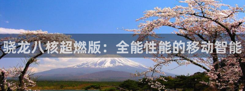 PG电子体育娱乐注册链接：骁龙八核超燃版：全能性能的移动智能