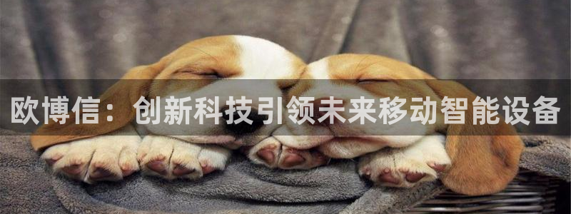 PG电子2体育登录入口：欧博信：创新科技引领未来移动智能设备