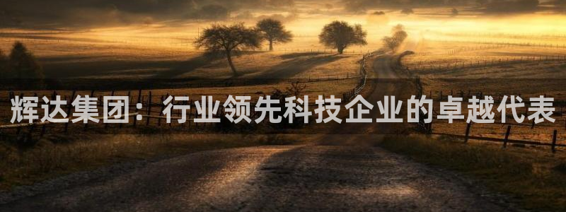 PG电子f平台注册：辉达集团：行业领先科技企业的卓越代表