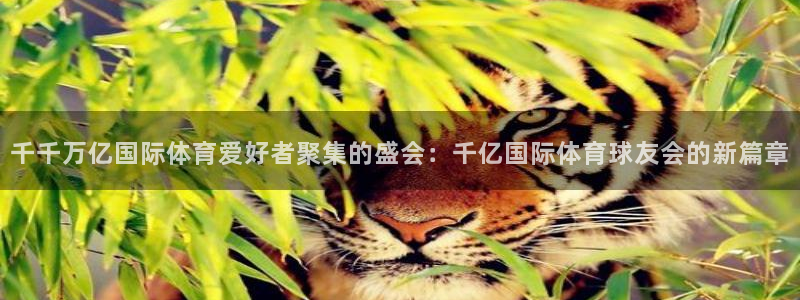 PG电子登录注册：千千万亿国际体育爱好者聚集的盛会：千亿国际体育球友会的新篇章