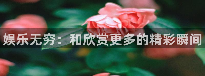PG电子：娱乐无穷：和欣赏更多的精彩瞬间
