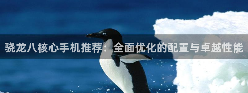 PG电子主管