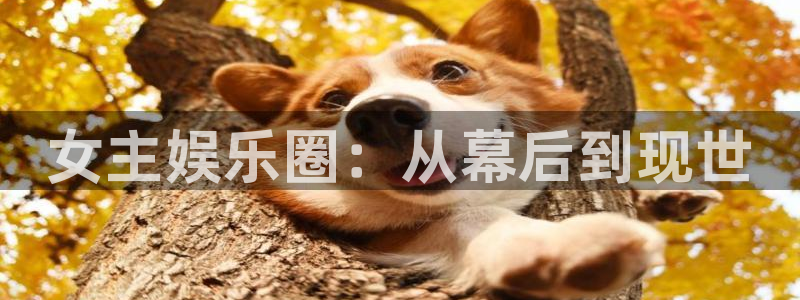 PG电子4官网：女主娱乐圈：从幕后到现世