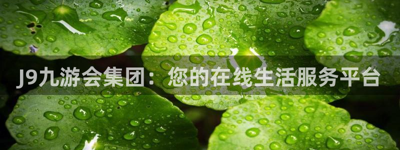 PG电子3官网：J9九游会集团：您的在线生活服务平台