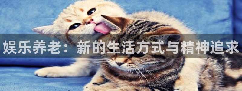 PG电子官网：娱乐养老：新的生活方式与精神追求