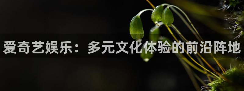 PG电子能源：爱奇艺娱乐：多元文化体验的前沿阵地