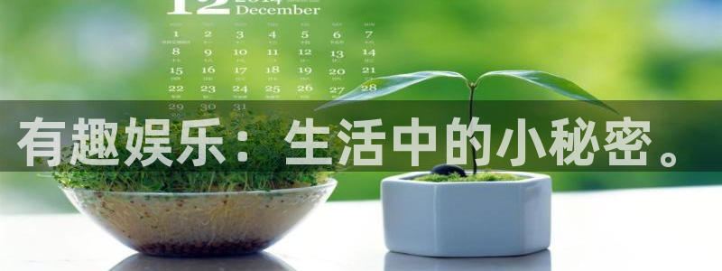 PG电子2代理注册：有趣娱乐：生活中的小秘密。