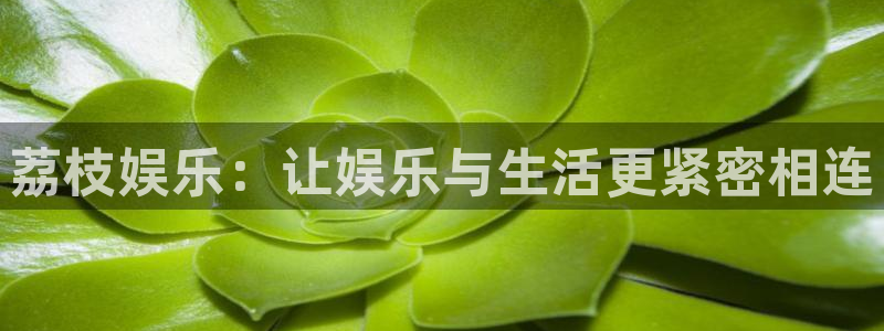PG电子凯捷注册：荔枝娱乐：让娱乐与生活更紧密相连