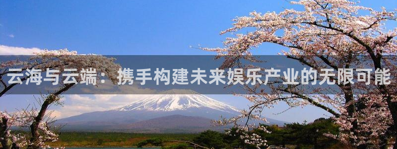 PG电子4代理：云海与云端：携手构建未来娱乐产业的无限可能