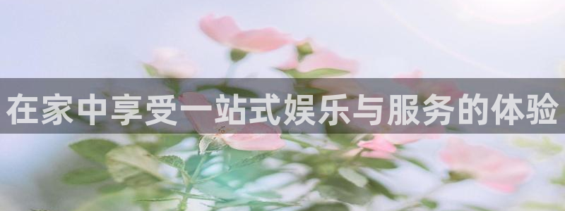 PG电子体育代理：在家中享受一站式娱乐与服务的体验