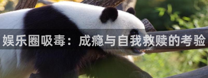 PG电子体育用品：娱乐圈吸毒：成瘾与自我救赎的考验