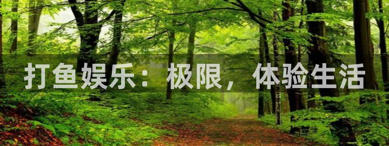 PG电子体育eon：打鱼娱乐：极限，体验生活