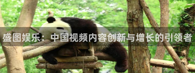 PG电子2体育登录入口：盛图娱乐：中国视频内容创新与增长的引领者