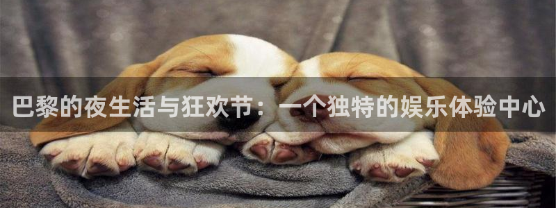 PG电子体育合法嘛：巴黎的夜生活与狂欢节：一个独特的娱乐体验中心