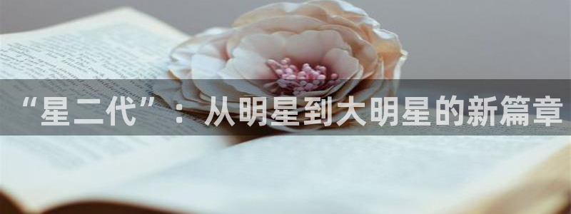 PG电子2体育：“星二代”：从明星到大明星的新篇章