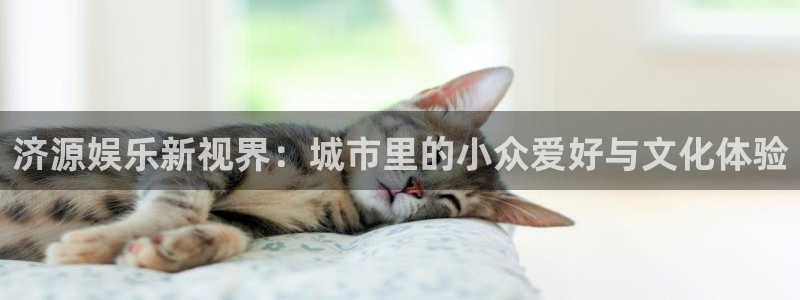PG电子2登录：济源娱乐新视界：城市里的小众爱好与文化体验