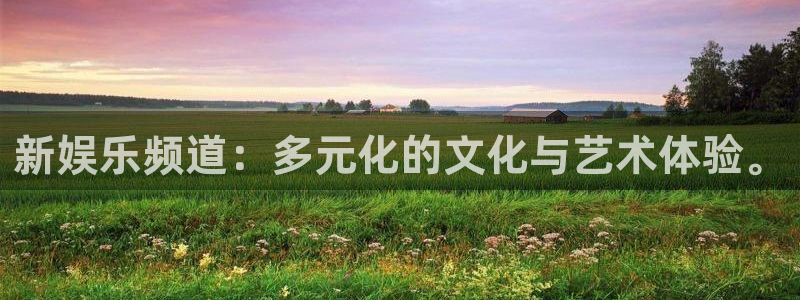 PG电子体育代理：新娱乐频道：多元化的文化与艺术体验。