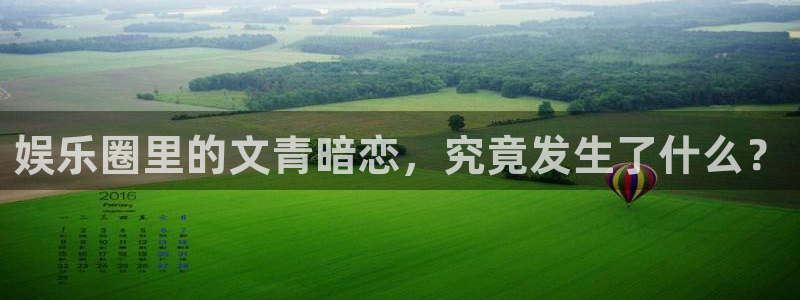 PG电子4平台：娱乐圈里的文青暗恋，究竟发生了什么？