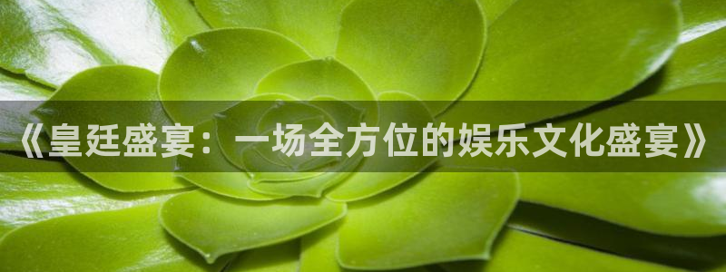 PG电子5注册：《皇廷盛宴：一场全方位的娱乐文化盛宴》