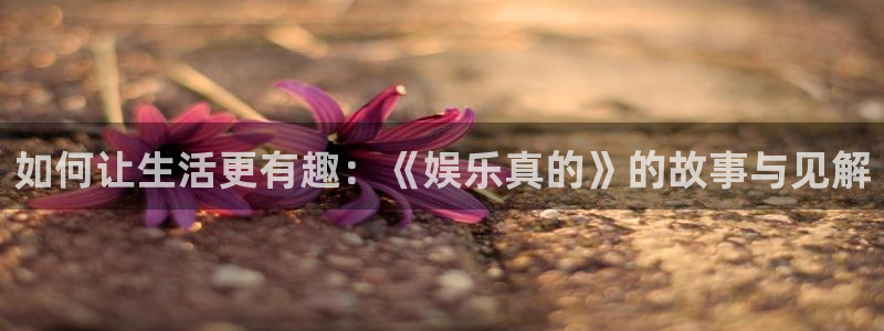 PG电子：如何让生活更有趣：《娱乐真的》的故事与见解