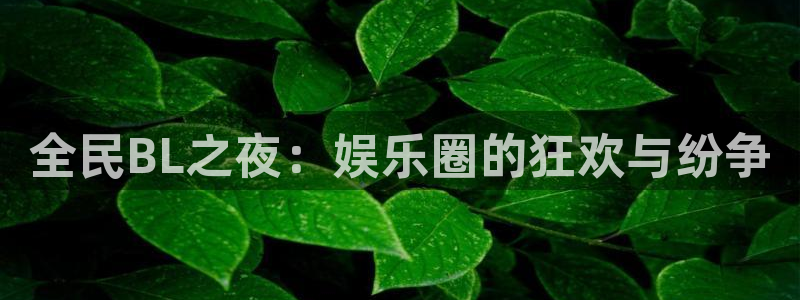 PG电子体育和杏耀是哪个公司的：全民BL之夜：娱乐圈的狂欢与纷争