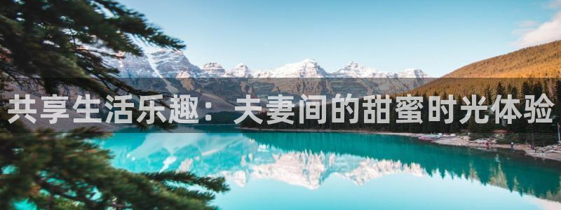 PG电子游戏有哪些好玩的：共享生活乐趣：夫妻间的甜蜜时光体验