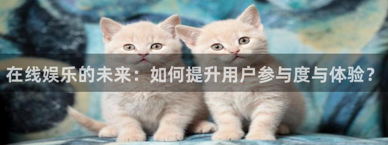 PG电子体育凯捷登陆：在线娱乐的未来：如何提升用户参与度与体验？