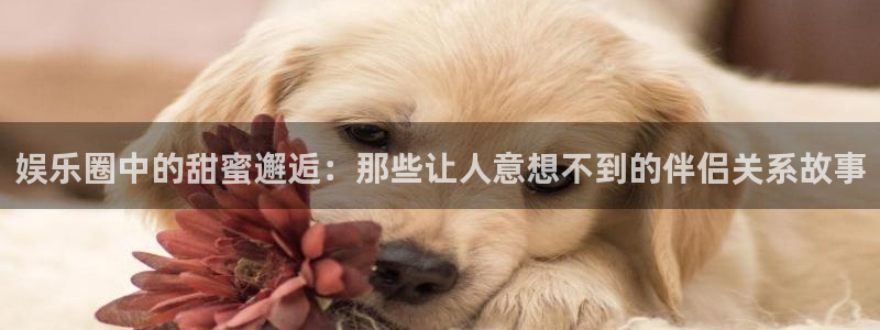 PG电子2体育：娱乐圈中的甜蜜邂逅：那些让人意想不到的伴侣关系故事