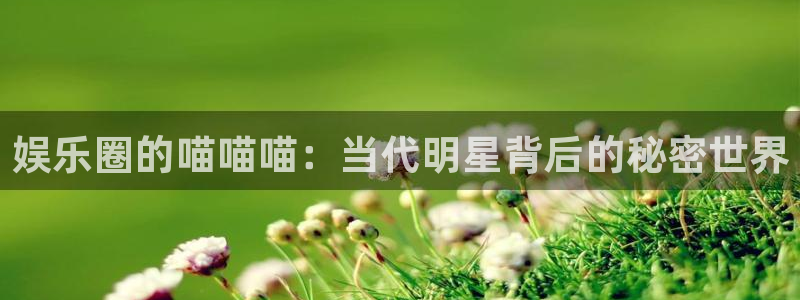 PG电子能源：娱乐圈的喵喵喵：当代明星背后的秘密世界