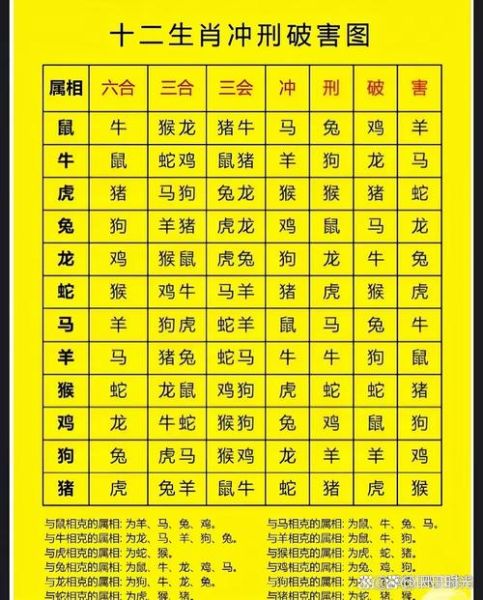 什么属相很凶猛啊生肖（12生肖谁最凶猛？新手3分钟看懂）