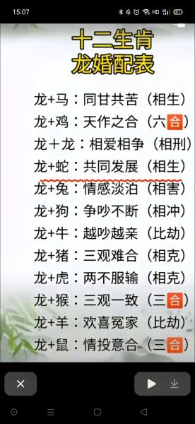 龙下面是什么生肖属相
