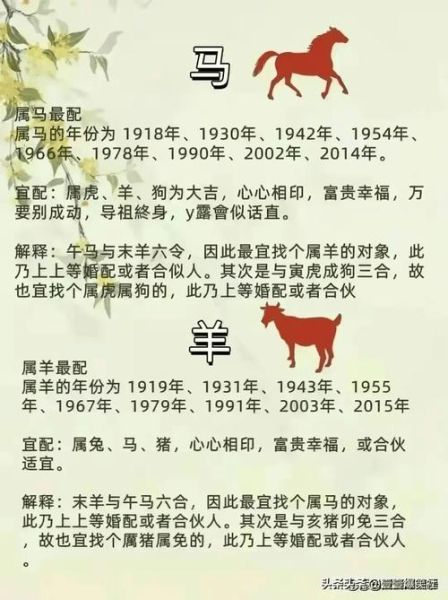1954属什么生肖属相（1954年属什么生肖属相）