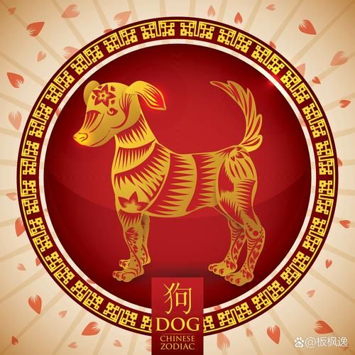 狗是什么生肖贵人属相