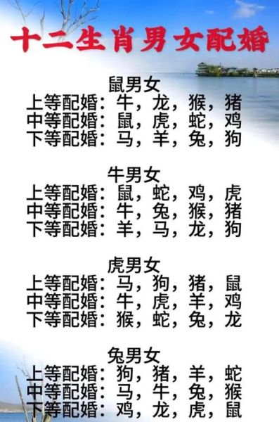 生肖属鼠的配偶属相（鼠配什么生肖最旺）