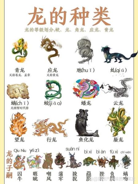 成龙是什么生肖属相（成龙生肖是什么？小白也能秒懂！）