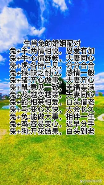 生肖兔的配偶属相（生肖兔最配什么属相？）