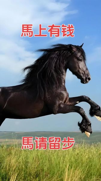 马属相代表什么动物生肖