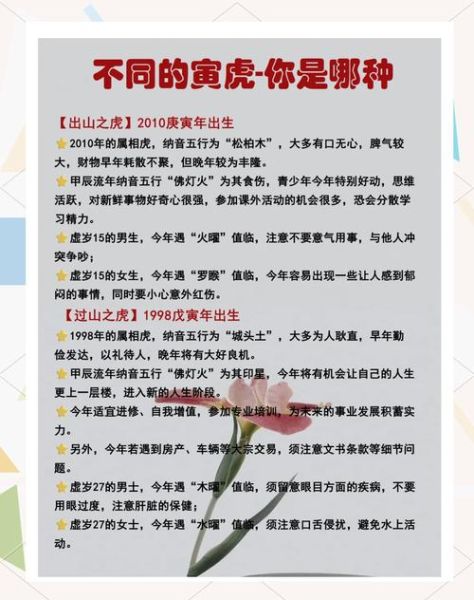 虎生肖属相资料介绍详细（虎生肖性格与运势深度资料）