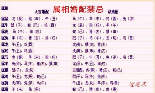 老婆正确生肖属相（老婆属相怎么查最准确）