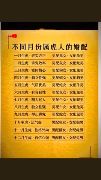跟生肖虎不配的属相（生肖虎跟哪些属相不合？）