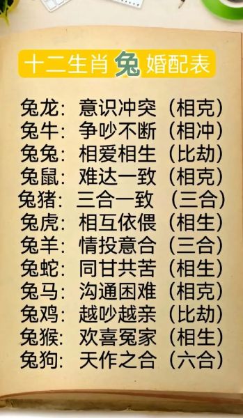 生肖兔配对属相婚配（生肖兔配对属相婚配表查询）