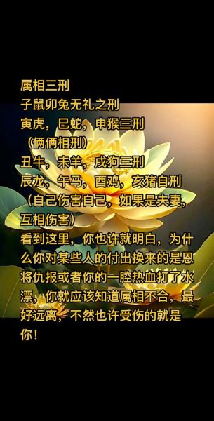 生肖合属相不合（为什么生肖合属相不合影响婚姻？）