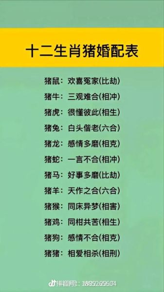 生肖合属相不合（为什么生肖合属相不合影响婚姻？）