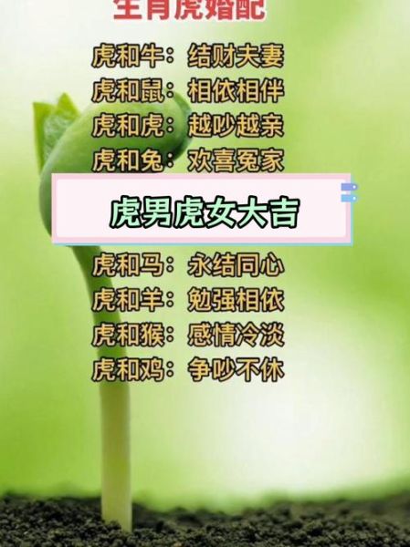 男人虎年配什么生肖属相（男人虎年合婚最佳生肖）