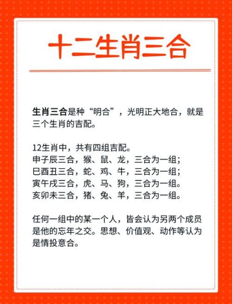 生肖马怕什么属相（生肖马最克哪几个属相？新手避坑指南）