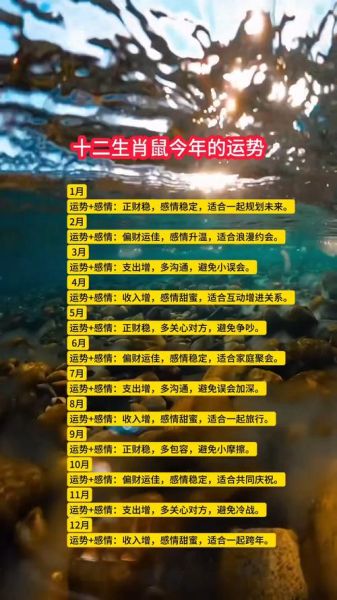 生肖属相鼠好吗（属鼠的人命运到底好不好）