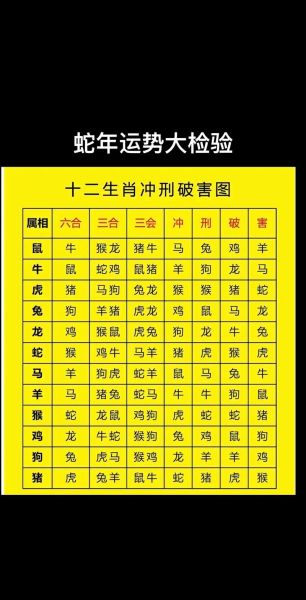 生肖鼠蛇的搭配属相（属鼠与属蛇的合不合？小白必读）