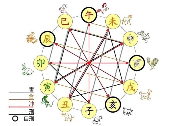 道术是什么生肖属相（道术属相是什么生肖？）